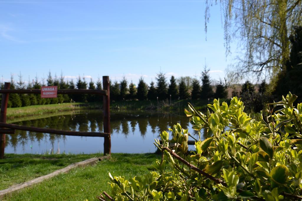 Hotel Marco Plonsk Szkolna 115 Kültér fotó